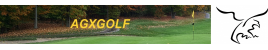 AGXGOLF.COM (810-991-1376