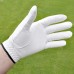 AGXGOLF TALON CABRETTA GOLF GLOVES for LEFT HANDED GOLFERS: 12 PACK GLOVE FITS ON THE RIGHT HAND