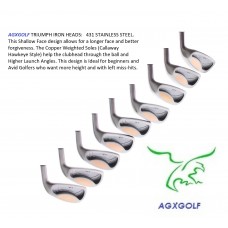 AGXGOLF TRIUMPH IRON HEADS SET TOTAL OF NINE HEADS 3-SW STAINLESS STEEL .370 HOSEL